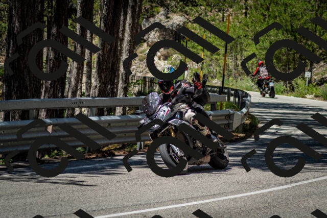 202506291209-DSC_3194_c2