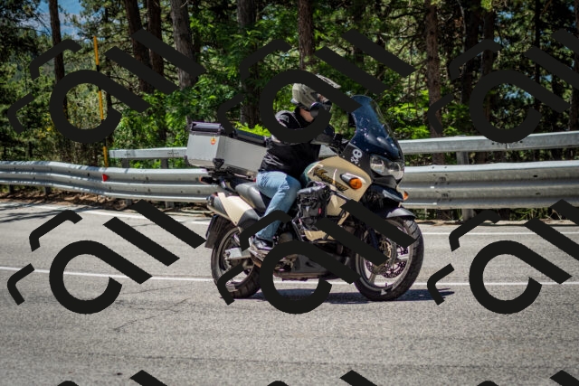 202506291209-DSC_3197_c2