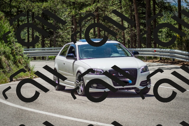 202506291211-DSC_3201_c2