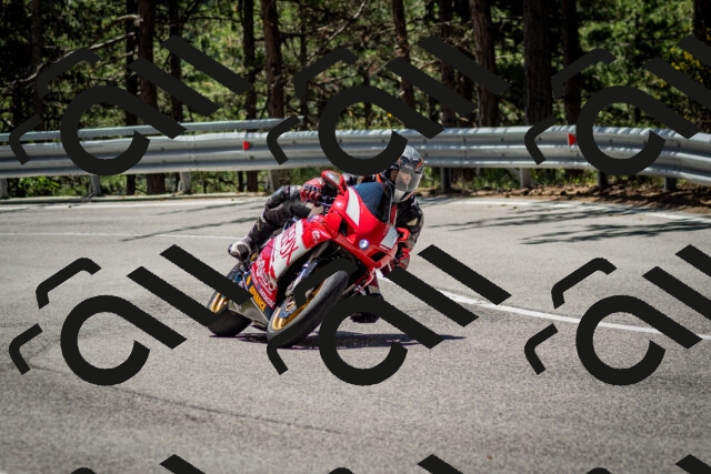 202506291211-DSC_3204_c2