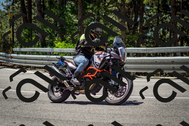 202506291212-DSC_3206_c2