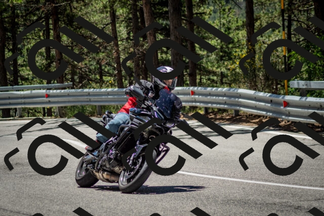 202506291212-DSC_3208_c2