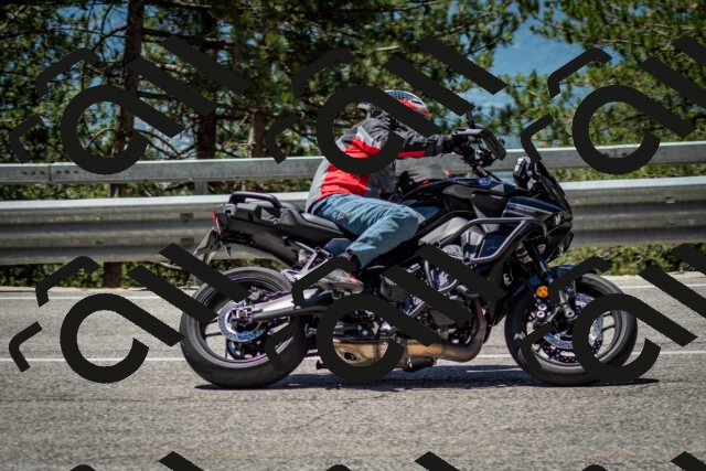 202506291212-DSC_3209_c2