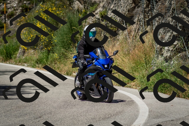 202506291212-DSC_3210_c2