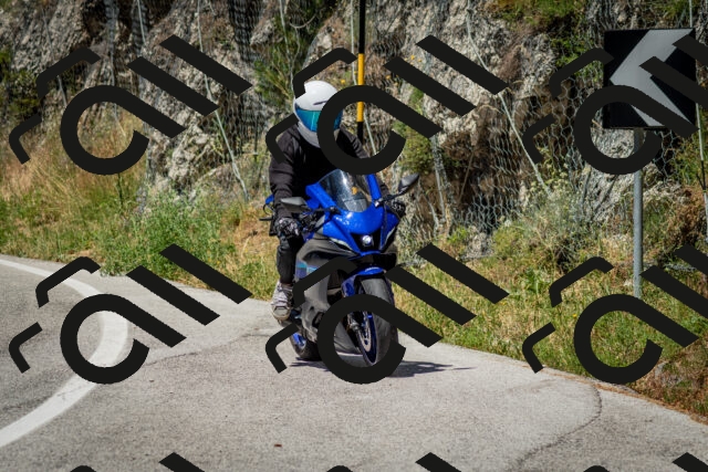 202506291212-DSC_3211_c2