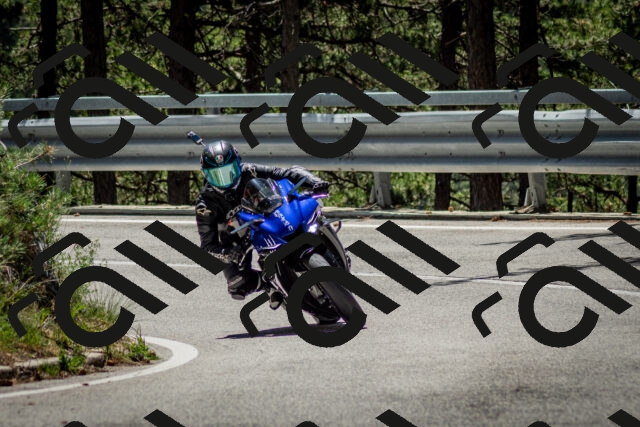 202506291213-DSC_3212_c2