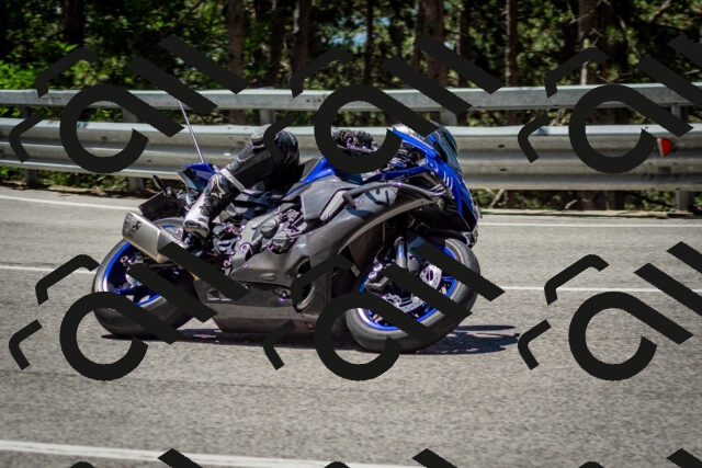 202506291213-DSC_3214_c2