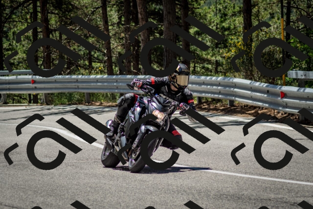 202506291213-DSC_3215_c2