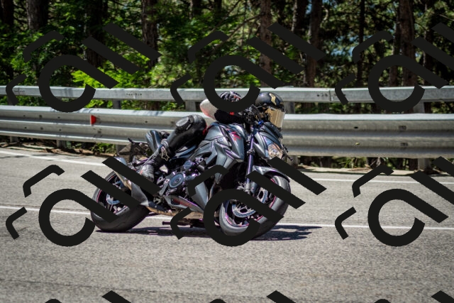 202506291213-DSC_3216_c2