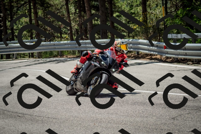 202506291216-DSC_3231_c2