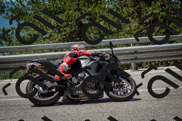 202506291216-DSC_3232_c2