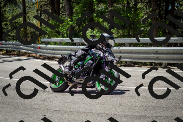 202506291216-DSC_3234_c2