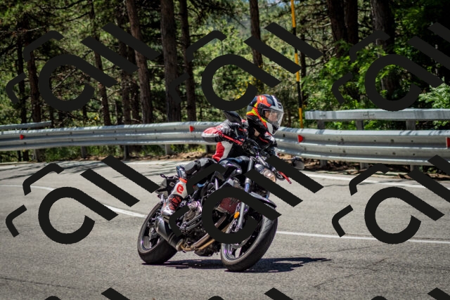 202506291216-DSC_3235_c2