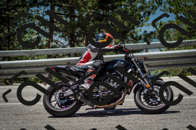 202506291216-DSC_3236_c2