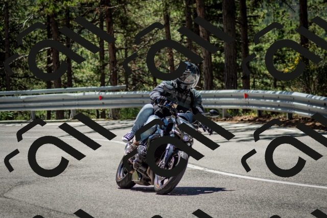 202506291216-DSC_3237_c2