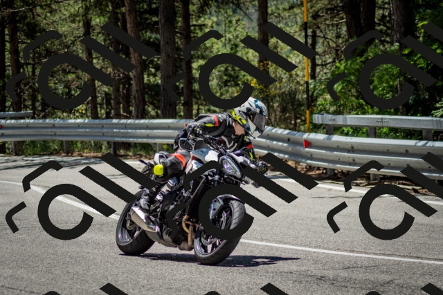 202506291217-DSC_3240_c2