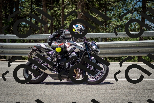 202506291217-DSC_3241_c2