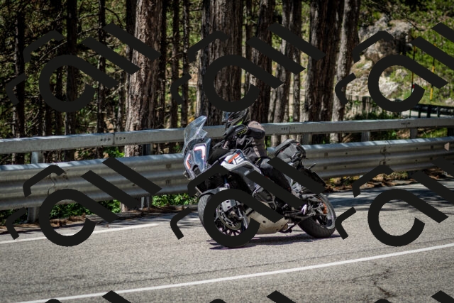 202506291217-DSC_3242_c2