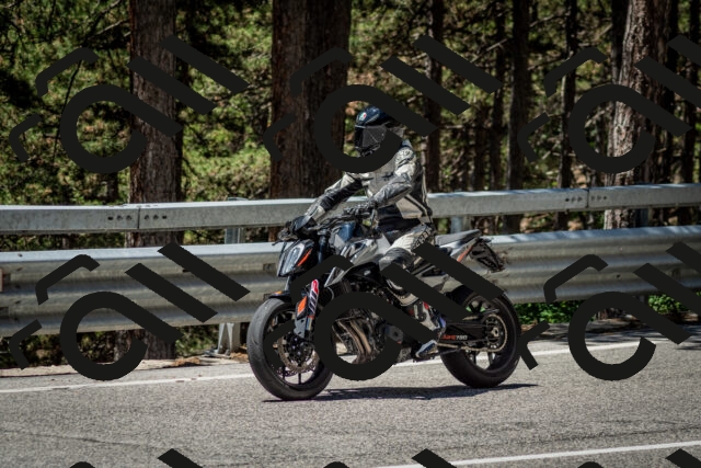 202506291219-DSC_3246_c2