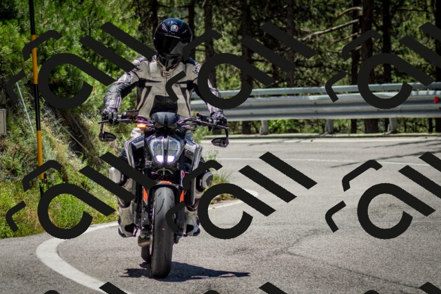 202506291220-DSC_3248_c2