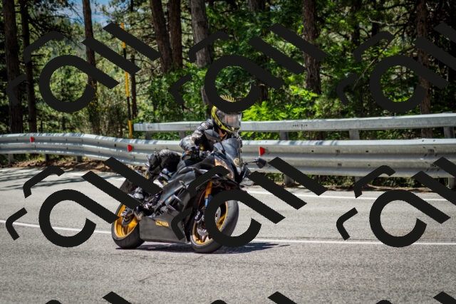 202506291222-DSC_3253_c2