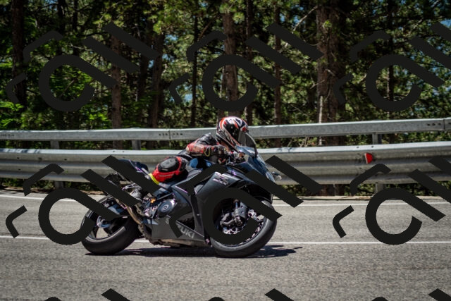 202506291222-DSC_3256_c2