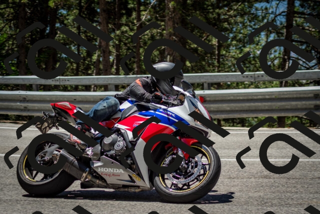 202506291222-DSC_3261_c2