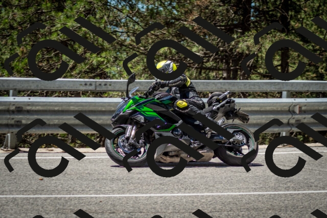 202506291222-DSC_3265_c2