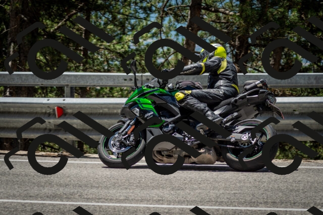 202506291222-DSC_3266_c2