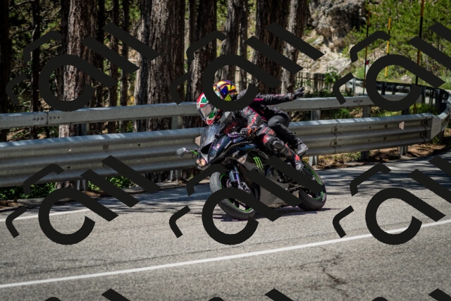 202506291222-DSC_3267_c2