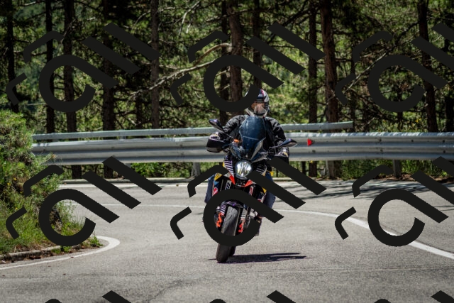 202506291223-DSC_3275_c2