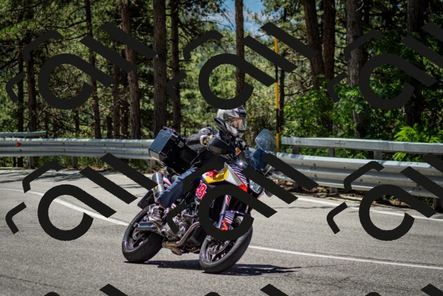 202506291223-DSC_3276_c2