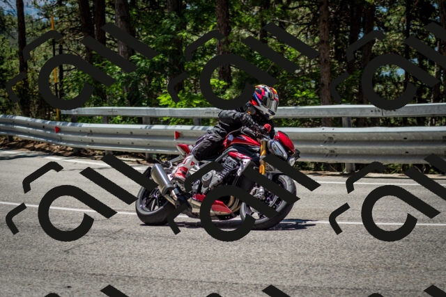 202506291223-DSC_3278_c2