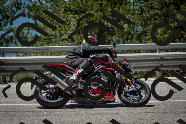 202506291223-DSC_3279_c2