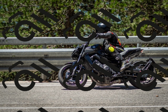 202506291224-DSC_3284_c2