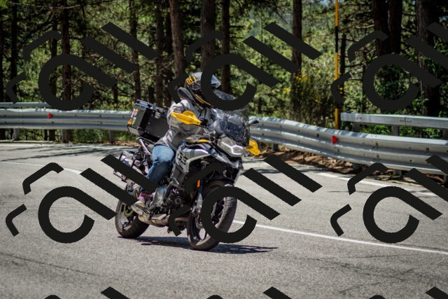 202506291224-DSC_3285_c2