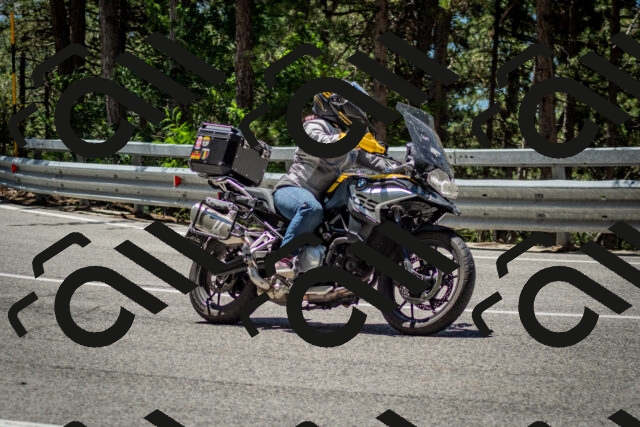 202506291224-DSC_3286_c2