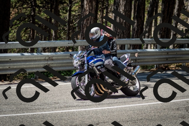 202506291225-DSC_3287_c2