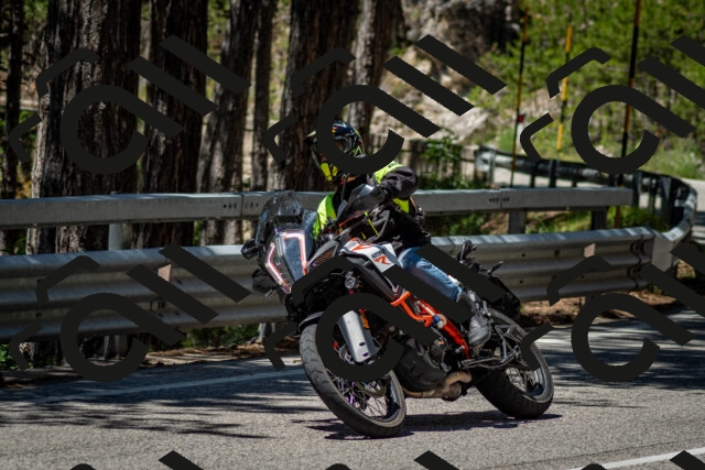 202506291226-DSC_3289_c2