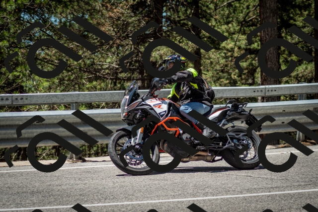 202506291226-DSC_3290_c2