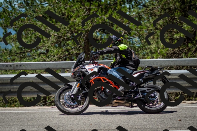 202506291226-DSC_3291_c2