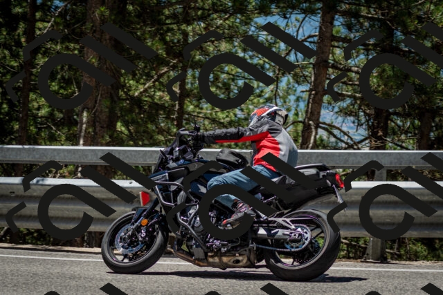 202506291226-DSC_3294_c2