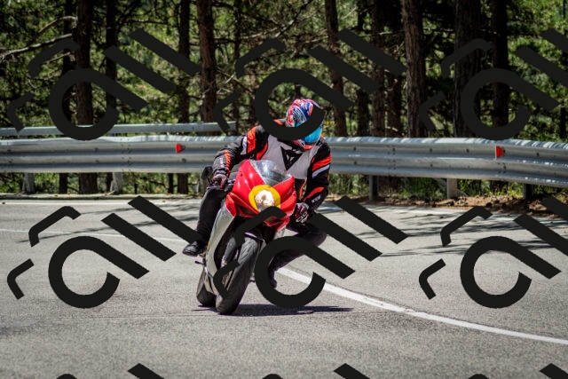 202506291227-DSC_3300_c2