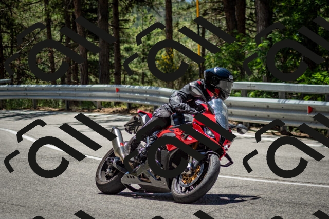 202506291227-DSC_3302_c2