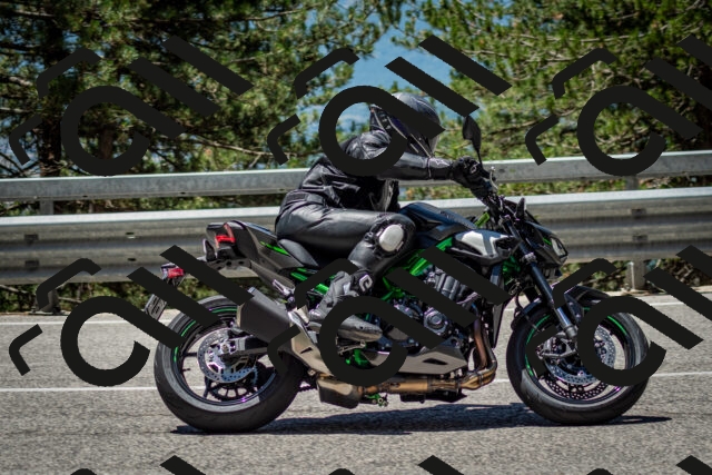 202506291227-DSC_3305_c2