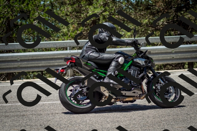 202506291227-DSC_3306_c2