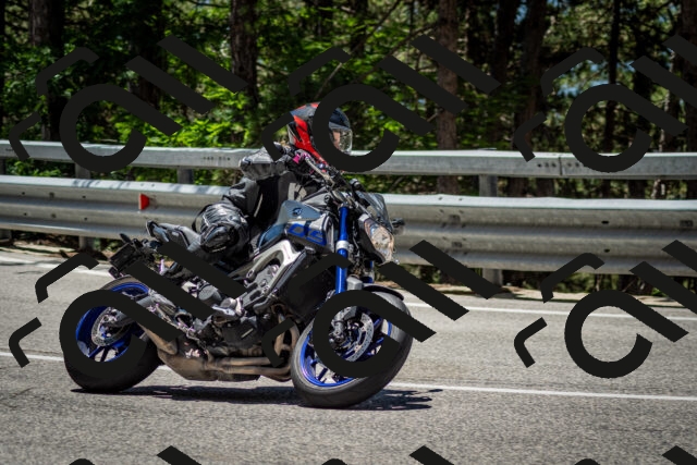 202506291227-DSC_3307_c2