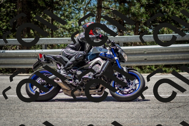 202506291227-DSC_3308_c2