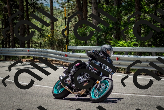 202506291227-DSC_3312_c2