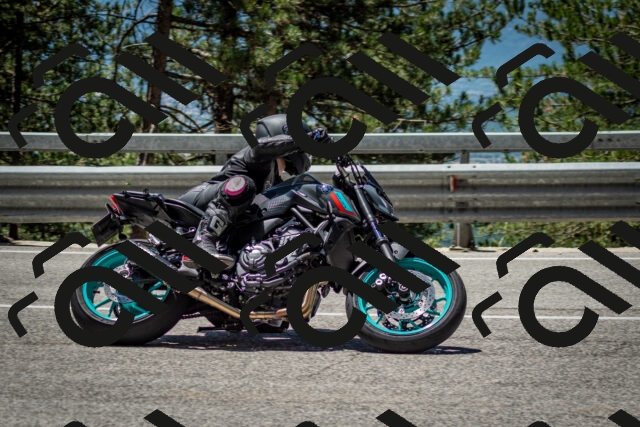 202506291227-DSC_3313_c2